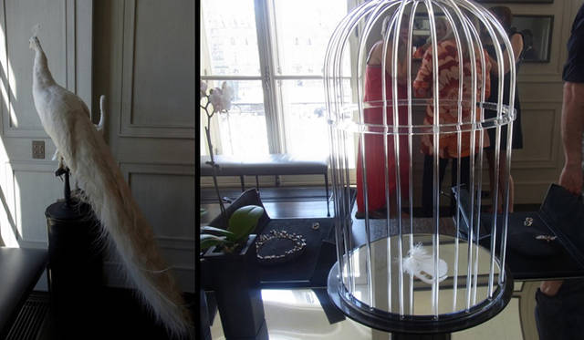 <b>CHANEL｜シャネル</b>　今回のハイジュエリーのテーマ「羽（プリュム）」に合わせて、会場には純白の孔雀や鳥籠が飾られた。