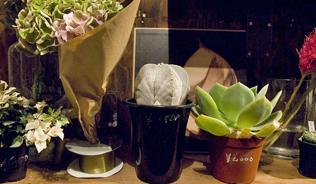 <strong>THE LITTLE SHOP OF FLOWERS｜代々木上原</strong>　