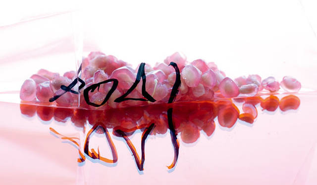 <strong>KORRES｜コレス</strong>　「ポメグラネイト」　ポメグラネイトのエッセンスが、オイリーに傾きがちな肌を、みずみずしい素肌へ。