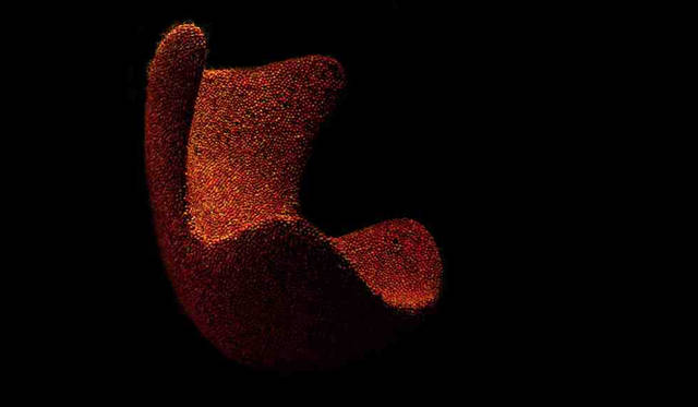 連載・伊藤嶺花｜ゲスト ニコライ・バーグマンさん（フラワーアーティスト） Egg Char に数万個のサンキライをはりめぐらせた力作