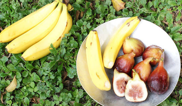 <strong>福岡淳子｜連載第2回 秋デトックスのススメ</strong>　9月のフルーツ  “いちじく” スムージー<br>イチジクには消化促進、健胃、整腸、痔などといった薬効が。