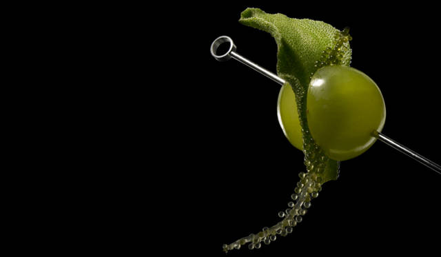 ART｜諏訪綾子展 ゲリラレストラン「LOST TONGUES」開催　「幸せのテイスト・あとから押し寄せる切ないテイスト」