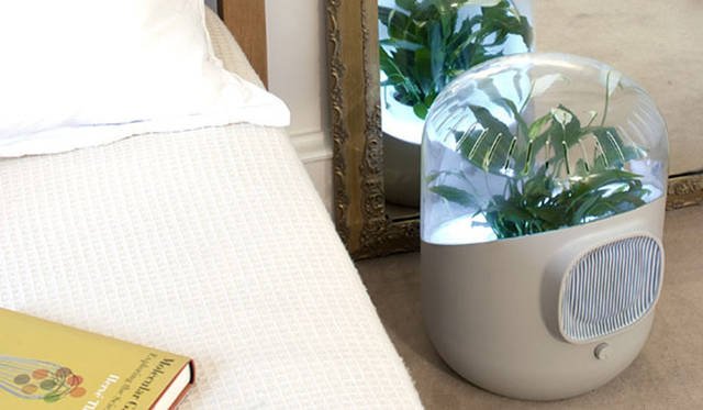 <strong>Synergy Trading｜シナジートレーディング</strong>　空気清浄機「ANDREA（アンドレア）」