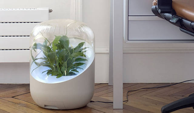 <strong>Synergy Trading｜シナジートレーディング</strong>　空気清浄機「ANDREA（アンドレア）」