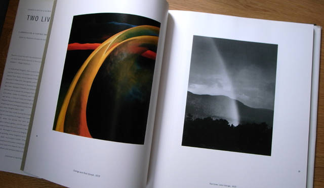 連載・生方ななえ｜TWO LIVES　オキーフの画とスティーグリッツの写真。