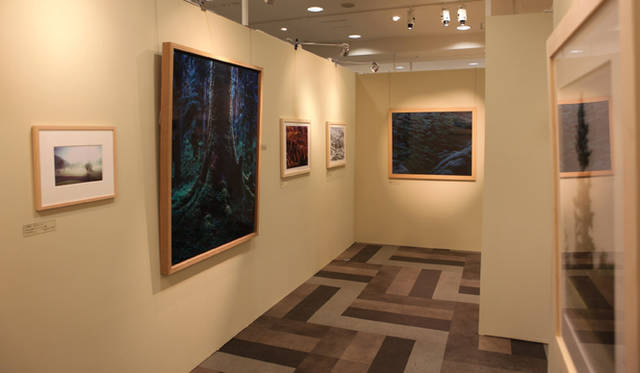 <b>more trees</b>  チャリティ写真展、「TOUCH WOOD展」開催　5階ローズパティオでの写真展