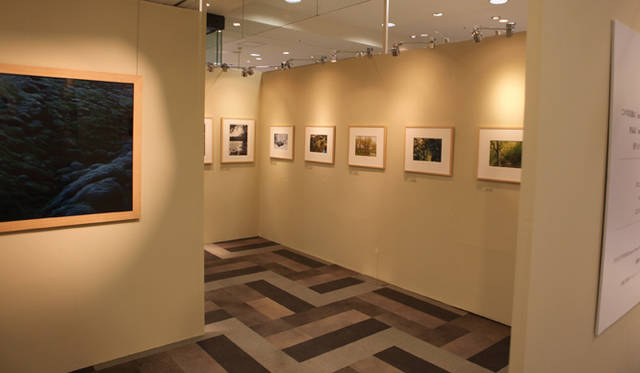 <b>more trees</b>  チャリティ写真展、「TOUCH WOOD展」開催　5階ローズパティオでの写真展