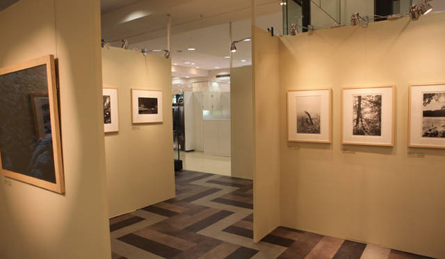 <b>more trees</b>  チャリティ写真展、「TOUCH WOOD展」開催　5階ローズパティオでの写真展