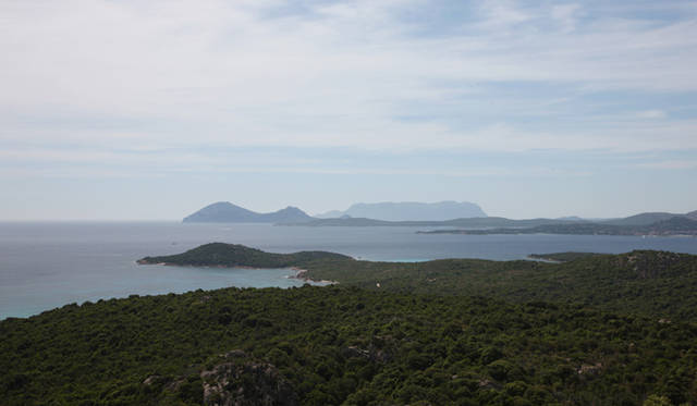 <strong>AUDI｜アウディ A7 </strong><br>高い山はないがゆるかな丘陵つづくサルディニア島は四国と近い面積