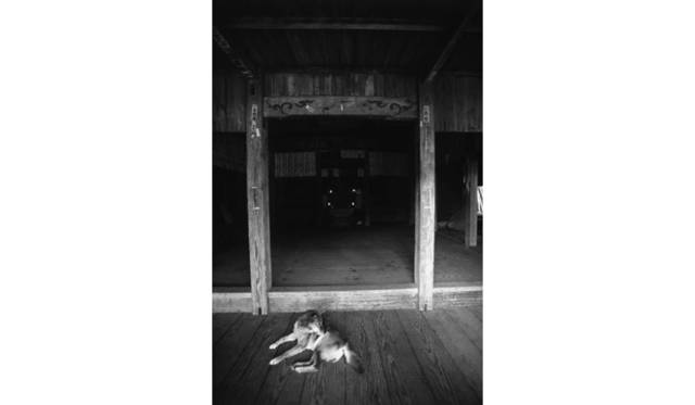 <strong>『3人展 ―Soul Brothers―』</strong>　© Yoshihiro TATSUKI 