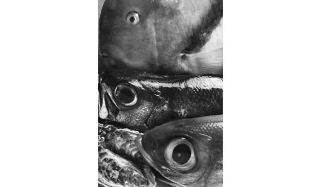 <strong>『3人展 ―Soul Brothers―』</strong>　© Yoshihiro TATSUKI 