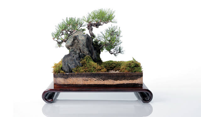 <strong>三越｜MITSUKOSHI　「Happy Tea Time」　Kaori Yamada</strong>　山田香織の彩花盆栽「波清」。打ち寄せる白波に赤松が映える松島の情景を描いた作品。　21万円