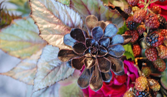 <strong>和気雅美｜FLORALUXE </strong>　 FLORALUXEの秋のテーマカラーは“紫と青”