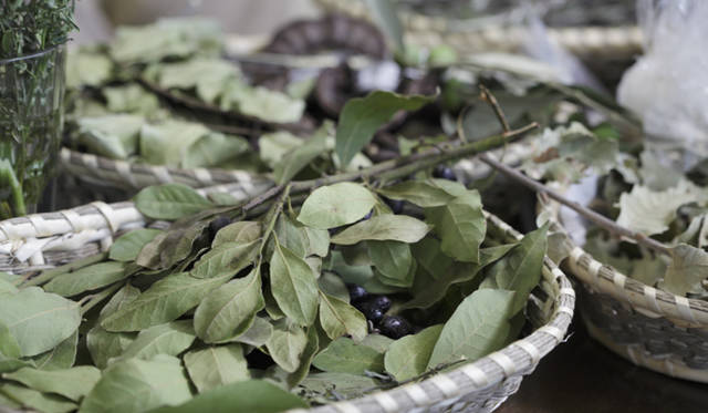 <strong>Gamila Secret（ガミラシークレット）</strong>　ガミラ・ジアーさんインタビュー