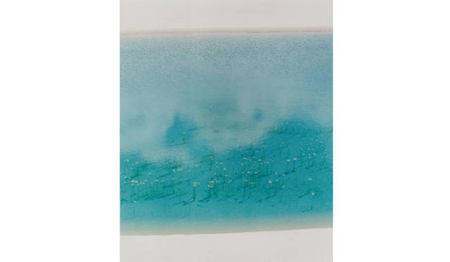 more tree｜六本木アクシスビルでTOUCH WOOD art project 開催　市橋織江 『untitled』 #1 （2007年） Edition10