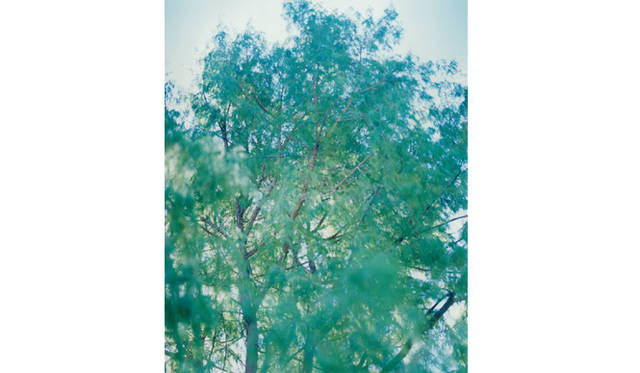 more tree｜六本木アクシスビルでTOUCH WOOD art project 開催　市橋織江 『untitled』 #2 （2007年） Edition10