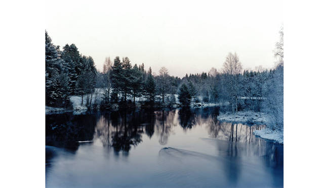 more tree｜六本木アクシスビルでTOUCH WOOD art project 開催　今井智己 『untitled』  （2005年） Edition AP(1)