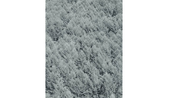 more tree｜六本木アクシスビルでTOUCH WOOD art project 開催　松江泰治 『Korea』 （2010年） Open Edition(1)