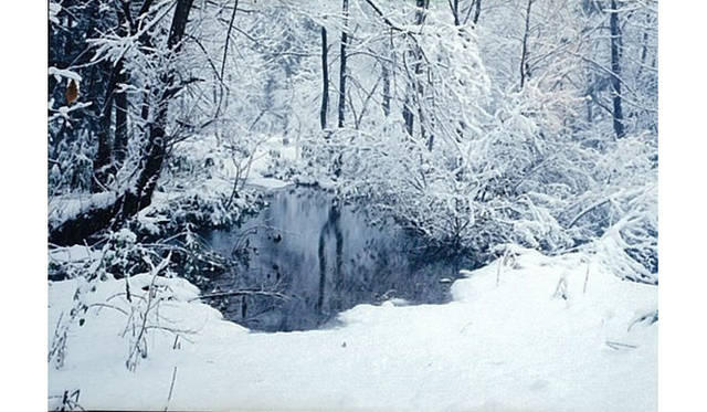 more tree｜六本木アクシスビルでTOUCH WOOD art project 開催　MOTOKO 『Akita-Hachimantai』 Open Edition(10)