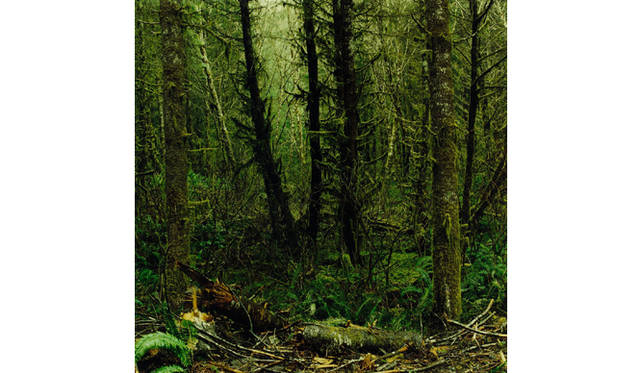 more tree｜六本木アクシスビルでTOUCH WOOD art project 開催　澁谷征司 「Aberdeen」 #2 （2006年） Edition 5