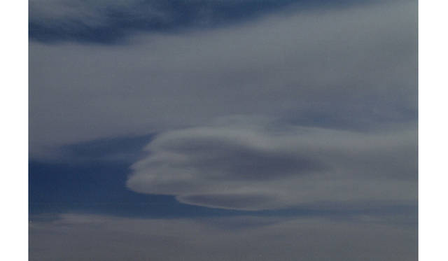 more tree｜六本木アクシスビルでTOUCH WOOD art project 開催　泊 昭雄 『オモムロニ ソラ』  （2004年） Edition 5