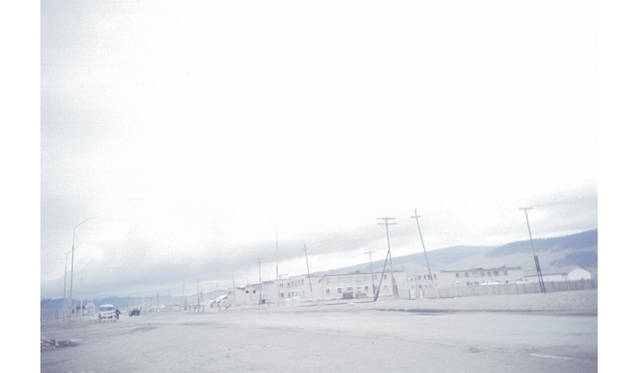 more tree｜六本木アクシスビルでTOUCH WOOD art project 開催　泊 昭雄 『オモムロニ リク』  （2004年） Edition 5