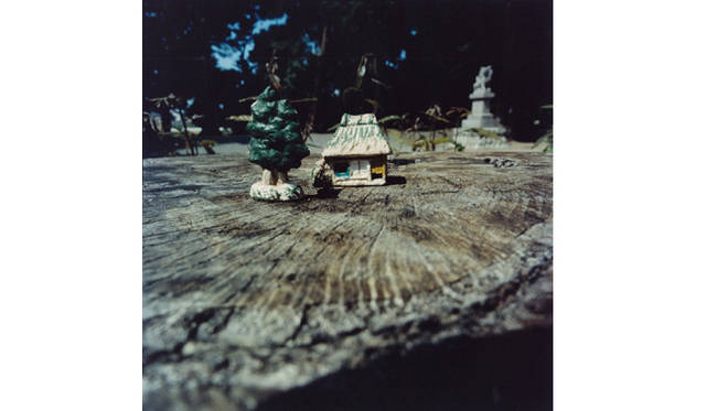 more tree｜六本木アクシスビルでTOUCH WOOD art project 開催　若木信吾 『切り株』 （2010年） Edition(1)