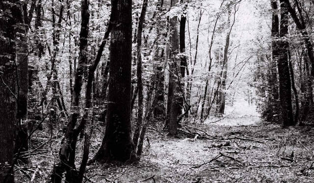 <strong>ibiza Chillout Lounge Vol.04｜Creation</strong>　イビサの自然はどんなところを切り取っても絵になる。