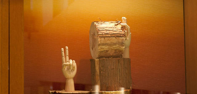 <strong> UNITED ARROWS｜ユナイテッドアローズ</strong>　ユナイテッドアローズ 原宿本店 ウィメンズ館