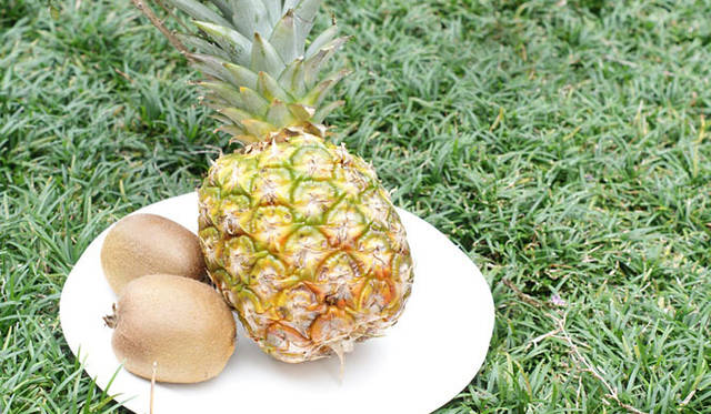 <strong>福岡淳子｜連載第3回 秋デトックスのススメ</strong>　11月のフルーツ  “キウイフルーツ＆パイナップル” スムージー<br>パイナップルは、漢方では発熱による口の渇き、消化不良、気管支炎、胃炎などに良いとされています。