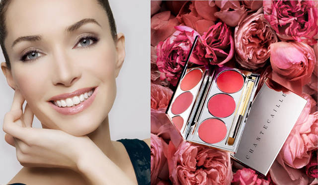 <strong>CHANTECAILLE｜シャンテカイユ</strong>　デリス・ド・ローズ グロスパレット