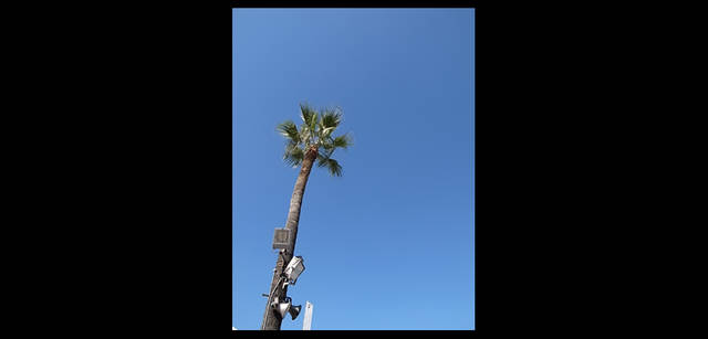 <strong>谷尻 誠 × リコーGR DIGITAL III</strong>｜「建築なのか、自然なのか？」