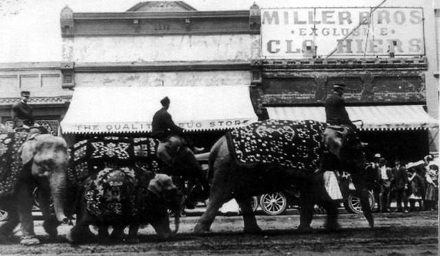 　『MILLER BROTHERS EXCLUSIVE MEN’S CLOTHEIRS』の写真。