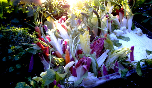 <strong>Twiggy 20th anniversary</strong>　手にとることを躊躇するほど美しくコーディネイトされた野菜。