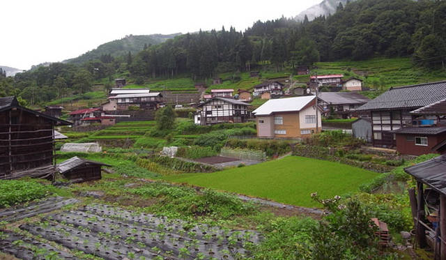 <strong>特集｜OPENERS的ニッポンの女性建築家　貝島桃代</strong>　種蔵のリサーチ （2009年）