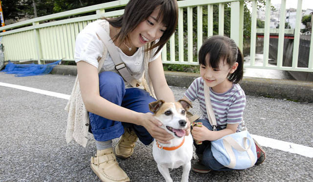 <strong>『犬とあなたの物語 いぬのえいが』</strong>　© 2010「犬とあなたの物語」製作委員会
