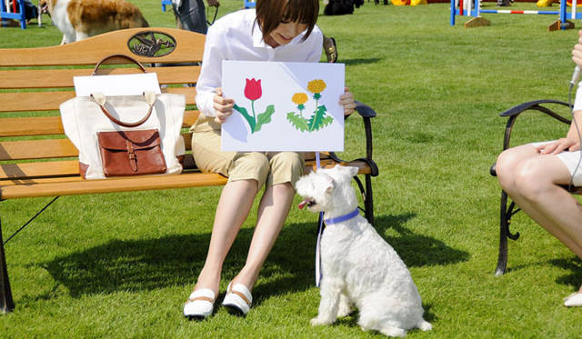 <strong>『犬とあなたの物語 いぬのえいが』</strong>　© 2010「犬とあなたの物語」製作委員会