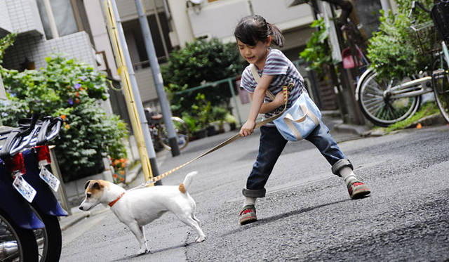 <strong>『犬とあなたの物語 いぬのえいが』</strong>　© 2010「犬とあなたの物語」製作委員会