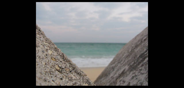 <strong>シンジョウコウジ × リコーCX4</strong>｜「いろんな目線を発見する楽しさ」