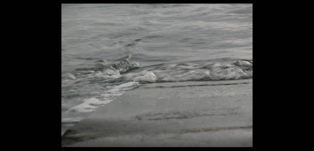 <strong>シンジョウコウジ × リコーCX4</strong>｜「自然のエアレーション」