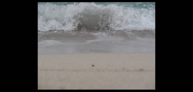 <strong>シンジョウコウジ × リコーCX4</strong>｜「飲み込まれたらどこへ行くのだろう」