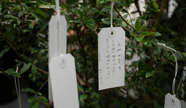 <strong>KISHIN SHINOYAMA PHOTO EXHIBITION</strong>