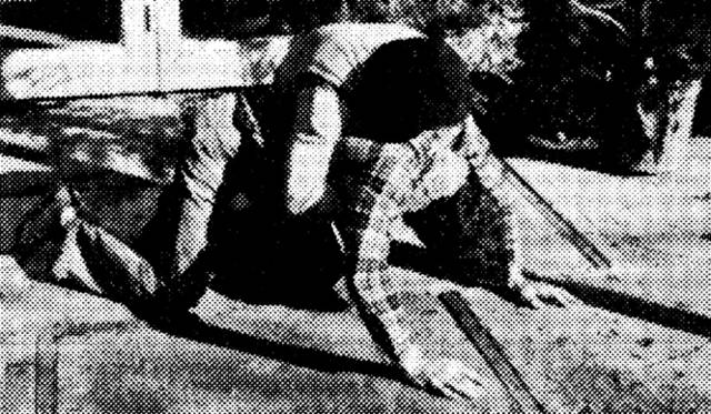 Oscar Tuazon ＆ Gardar Eide Einarsson展「Sex Booze Weed Speed」 