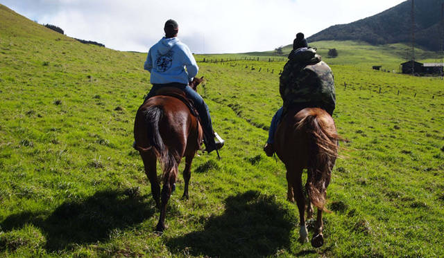 <strong>癒しの力“マナ”のみなぎるビッグアイランドへ</strong>　カフアランチ
