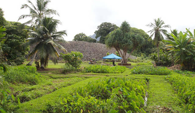 <strong>癒しの力“マナ”のみなぎるビッグアイランドへ</strong>　ウルポ・ヘイアウ