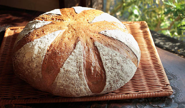 <strong>PANADERIA TIGRE｜パナデリア ティグレ</strong>　直径30センチもの「全粒粉のカンパーニュ」は、スライスしたものを袋詰めして量り売りしている。北海道産の地粉に全粒粉を30パーセントブレンドし、ビタミンやミネラルも豊富だ。しっとりふんわりとやわらかい食感。焼き上がり予定時間 9:00　1g／1.3円