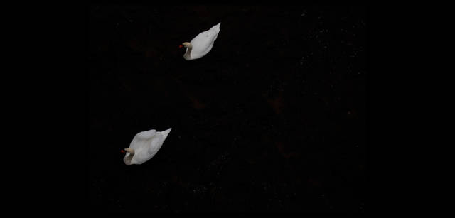 <strong>川内倫子×リコーGXR</strong> ｜「ドイツ→パリ」　街の中で