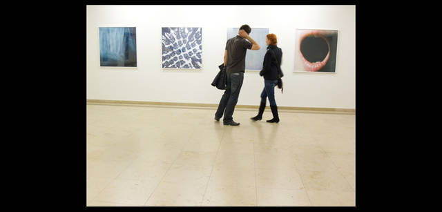 <strong>川内倫子×リコーGXR</strong> ｜「ドイツ→パリ」　展示風景