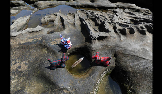 <strong>INTERVIEW｜写真家 堀 清英</strong>　