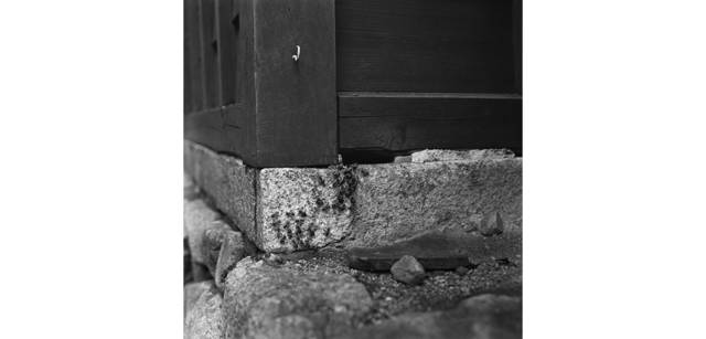 <strong>写心気 002</strong> Photo by 立木義浩